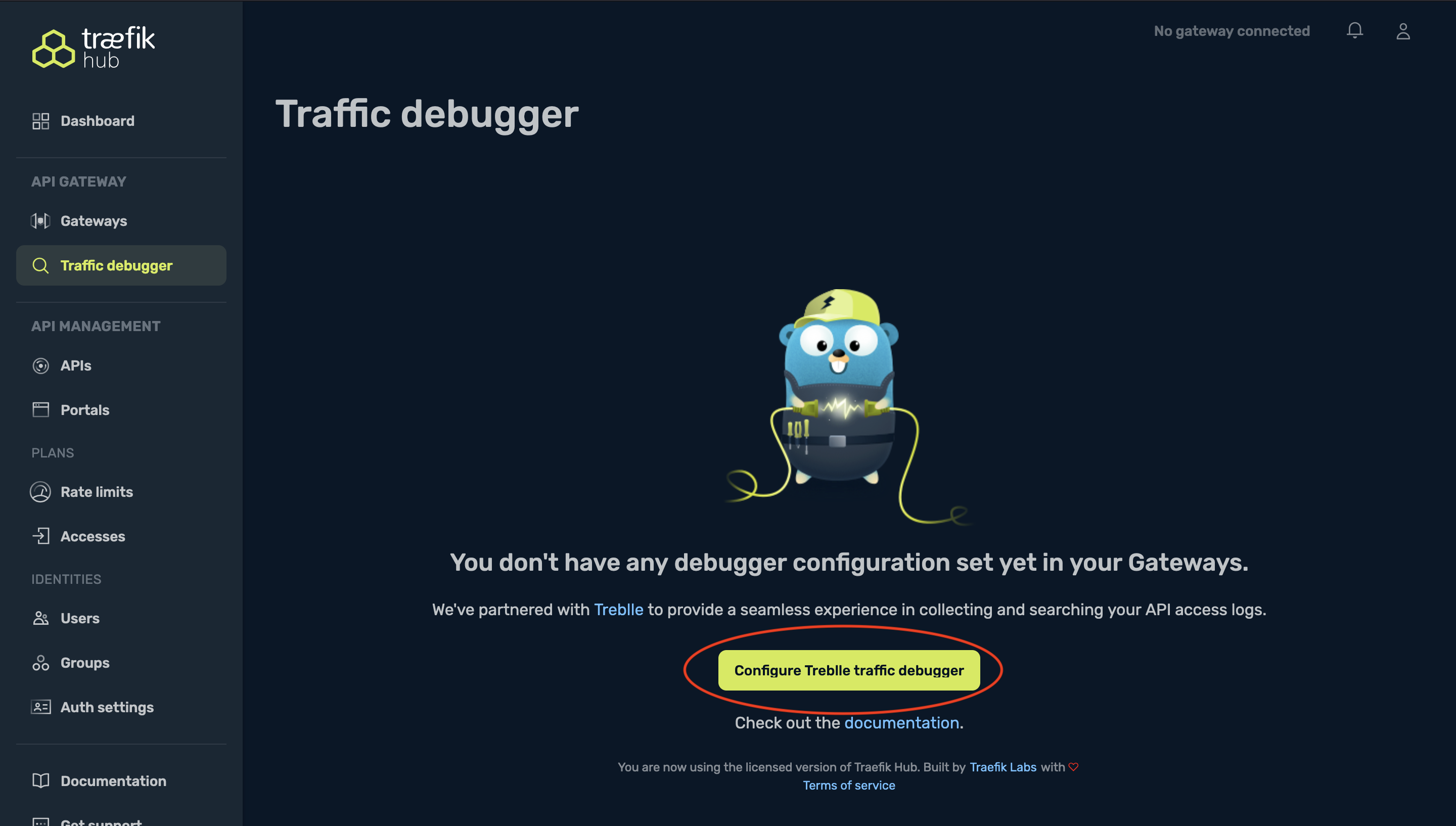 "Traefik Hub Dashboard